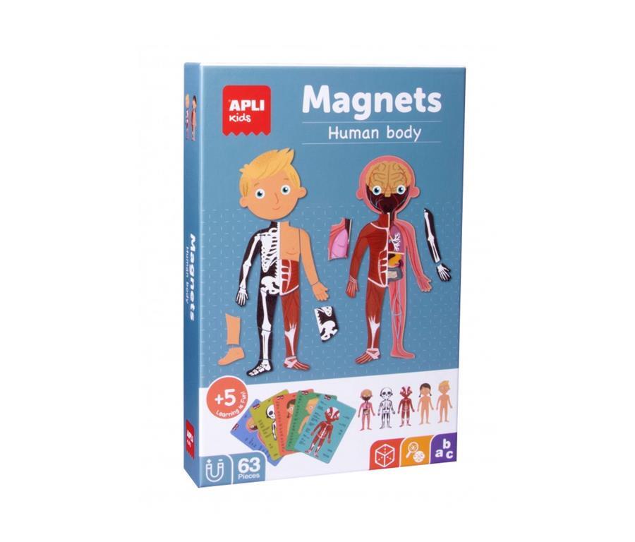 Apli kids Komplet magneti človeško telo